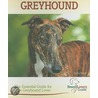 Greyhound by Cindy Victor