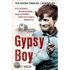 Gypsy Boy door Mikey Walsh