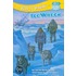 Ice Wreck