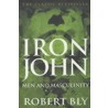 Iron John door Robert W. Bly