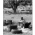 Jeff Wall