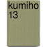 Kumiho 13