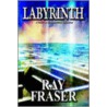 Labyrinth door Ray Fraser