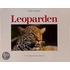 Leoparden