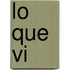 Lo Que Vi