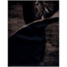 Los Toros by M. Crouser