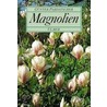 Magnolien by Günter Pardatscher