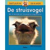 De struisvogel door Sun Wan-Ling