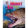 Moray Eel door Meish Goldish