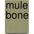 Mule Bone