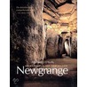 Newgrange door Michael J. O'Kelly