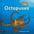 Octopuses