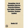 Oxyopidae by Not Available