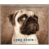 Pug Shots