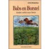 Babs en Borstel