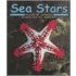 Sea Stars