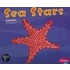 Sea Stars