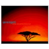 Serengeti door Mitsuaki Iwago