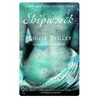 Shipwreck by Louis Begley