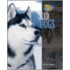 Sled Dogs