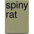 Spiny Rat