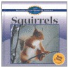 Squirrels by Diane Swanson