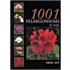 1001 pelargoniums te kijk