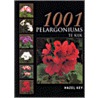 1001 pelargoniums te kijk by H. Key