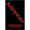 Suspended door Andrew Carmitchel