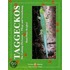 Taggeckos