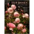 Tea Roses