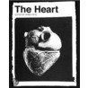 The Heart by James Peto