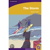 The Storm door Patricia Chapin