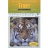The Tiger