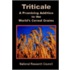 Triticale