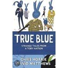 True Blue door David Matthews