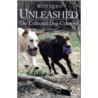 Unleashed by Beth Quinn