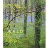 Wald 2011 door Onbekend