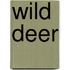 Wild Deer
