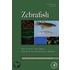 Zebrafish