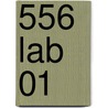 556 Lab 01 door Akira Himekawa