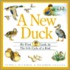 A New Duck