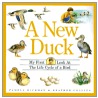 A New Duck by Pamela Hickman