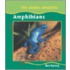 Amphibians