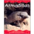 Armadillos