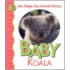 Baby Koala