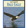 Bald Eagle by Susan Heinrichs Gray