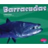 Barracudas