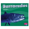 Barracudas by Deborah Nuzzolo