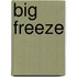 Big Freeze